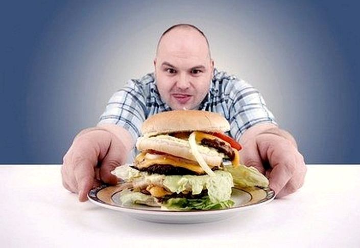 Хироми шинья о вреде здорового питания читать грамм белков на килограмм веса