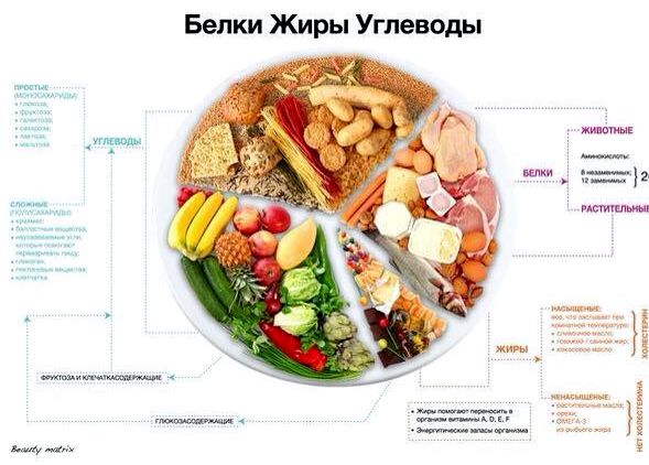 Правильное питание бжу 480 ккал или 120