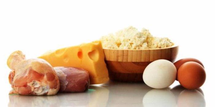 белковое питание для похудения отзывы 