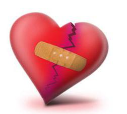 профилактика факторов риска сердечно сосудистых заболеваний