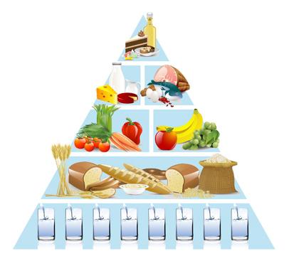 пищевая пирамида