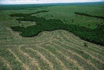 Вырубка лесов Амазонки