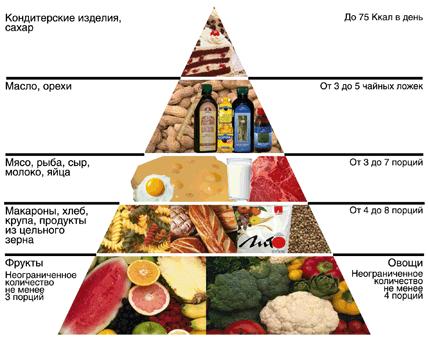 Новая пирамида питания