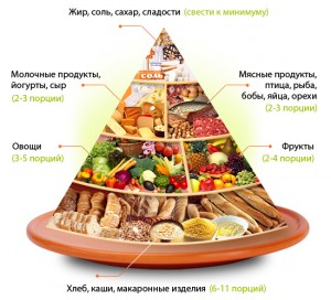 Пищевая пирамида - это схематическое изображение принципов здорового питания