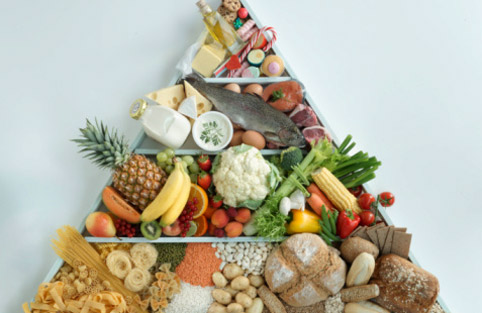 «Тарелка здоровья» вместо «пищевой пирамиды»