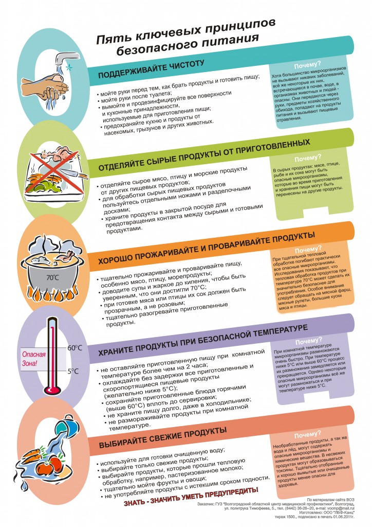 плакат 5 ключевых принципов безопасного питания