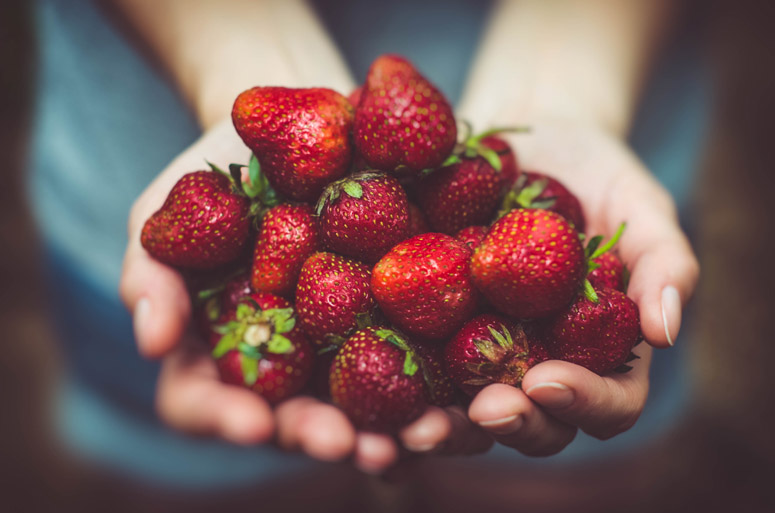 Правильное питание ягодами