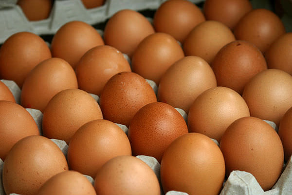 яйца для правильного питания