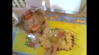 Порода собак - йоркширский терьер. Питание (Фото, видео)