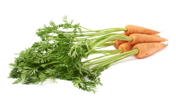 В моркови полезны и вершки, и корешки