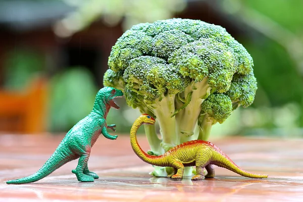 Смешная картина Игрушка Динозавр ест брокколи дерево. Фото может использоваться для приготовления пищи с детьми, подготовка kid дружественных блюда и поощрение здорового питания для детей — стоковое фото