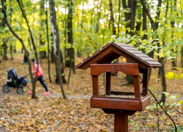 Деревянные фидер птицы в Осенний парк — стоковое фото