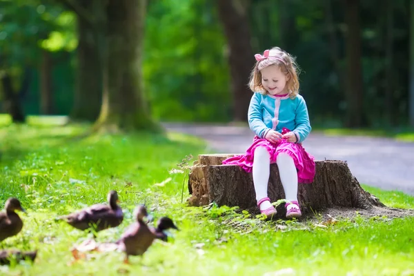 Маленькая девочка кормления уток в парке — стоковое фото