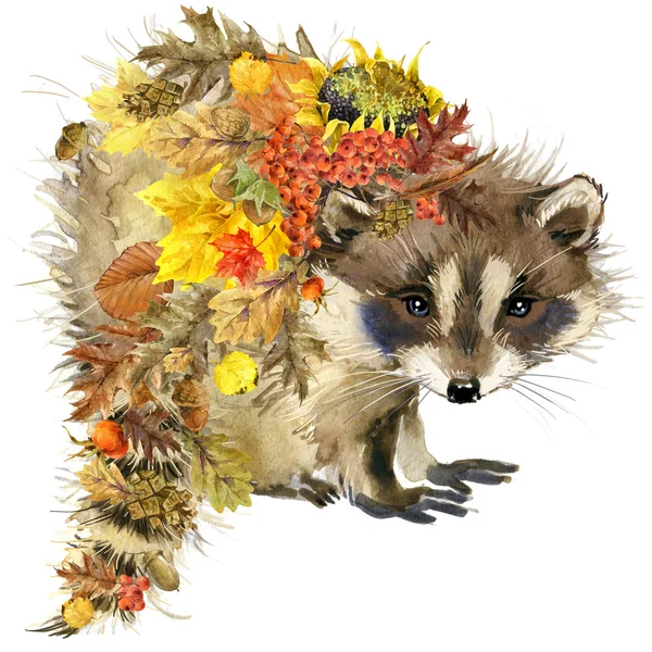 Watercolor Raccoon. Forest animal.Raccoon. Autumn nature colorful leaves background, fruit, berries, mushrooms, yellow leaves, rose hips. watercolor illustration — стоковое фото