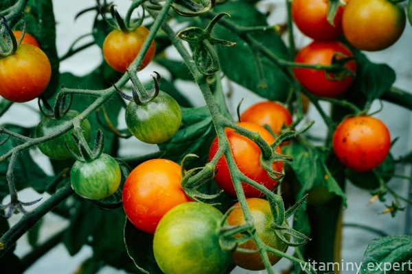 Витамины в томатах
