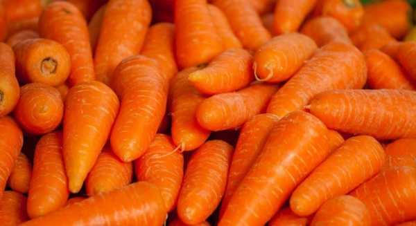 Как сварить морковь в микроволновке быстро